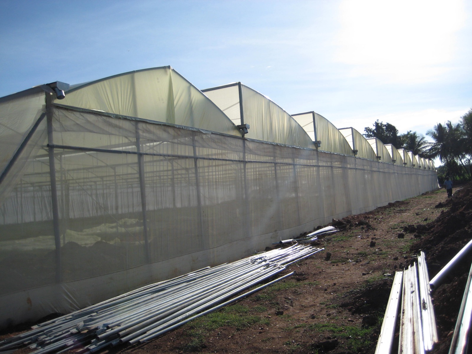 Greenhouse Project 33